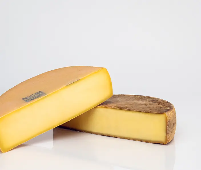 Käse - Alpkäse - zwei halbe Laibe - gebana