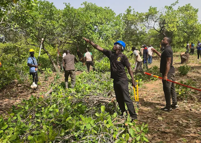 Field agents explain how to prune trees in Burkina Faso during training - gebana.com