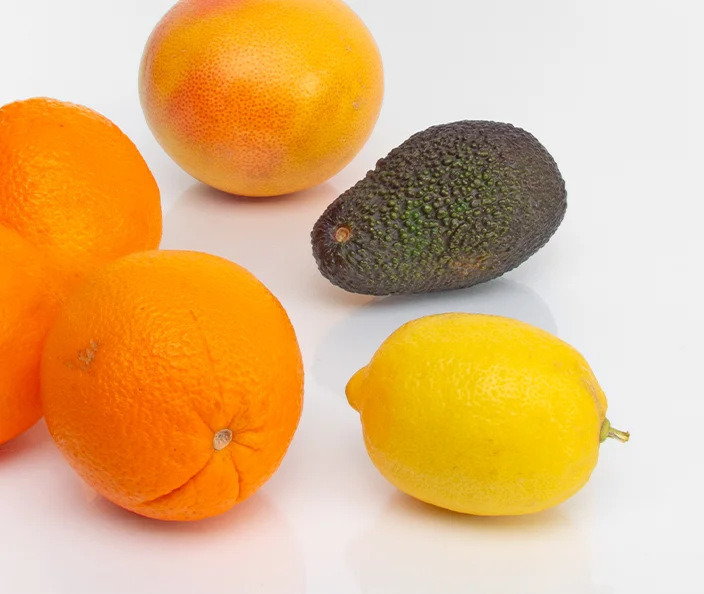 Zitrusfrüchte und Avocados - Paket mit Orangen, Avocados, Zitronen und Grapefruits - gebana