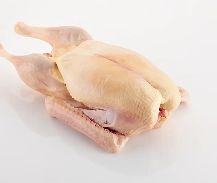 Fleisch & Fisch - Weidegans - gebana