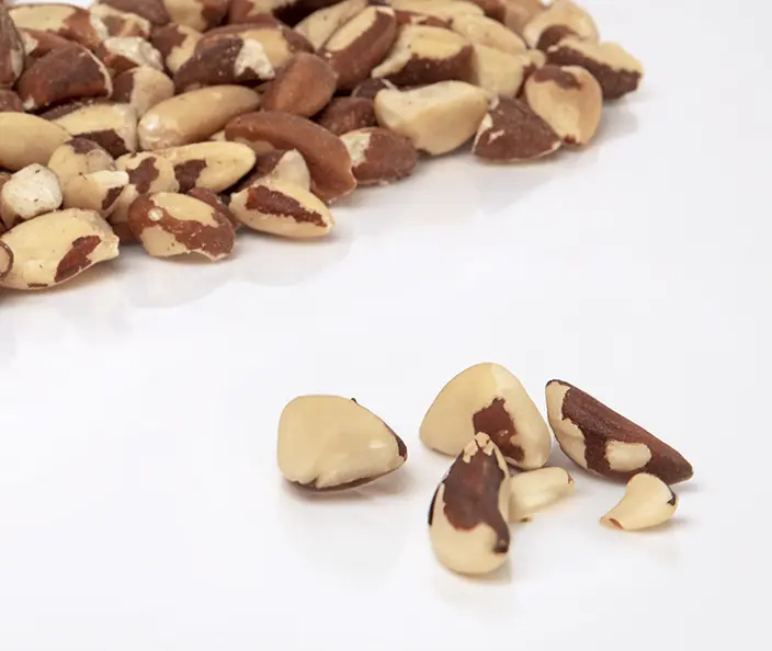 Brazil nut pieces