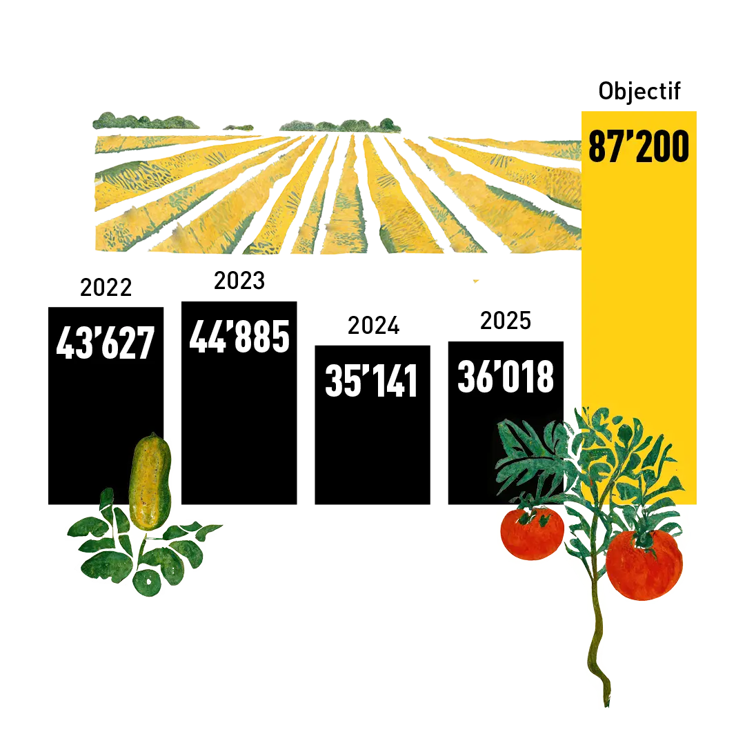Développement des surfaces de culture bio : 2022 = 43'627 ha, 2023 = 44'885 ha, 2024 = 35'141 ha, 2025 = 36'018 ha, objectif = 87 200 ha - gebana.com