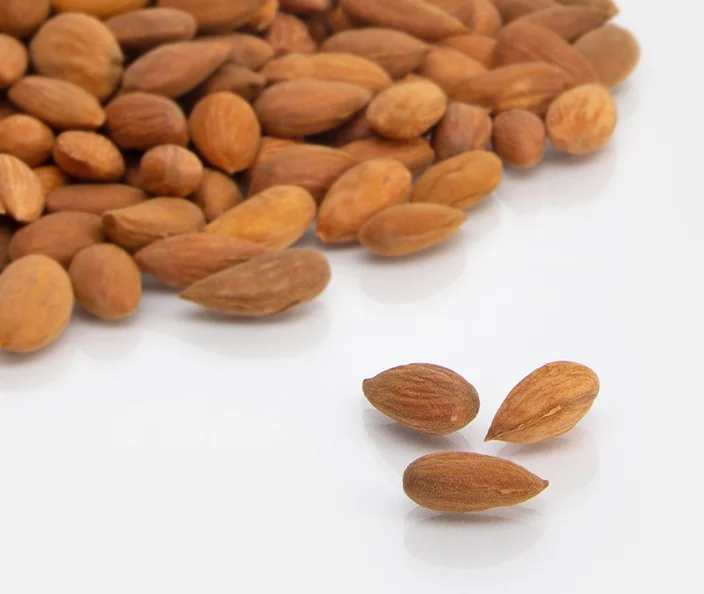 Amandes - Amandes désamérisées - gebana