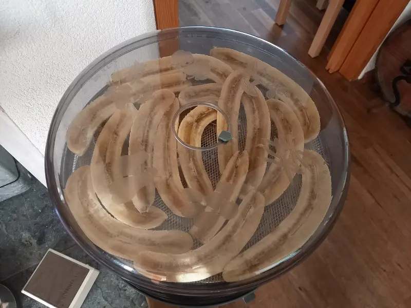Photo of peeled bananas that have been halved in a dehydrator, gebana.com