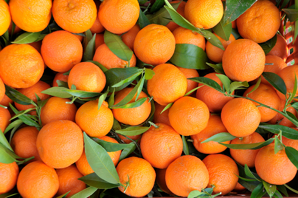 Clementinen_Stimmung_DSC2116