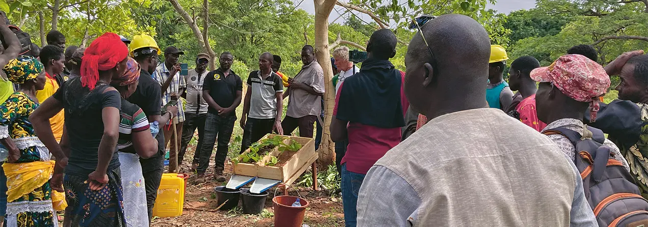 A group of people in nature looking at two wooden boxes in the centre with plants in them.