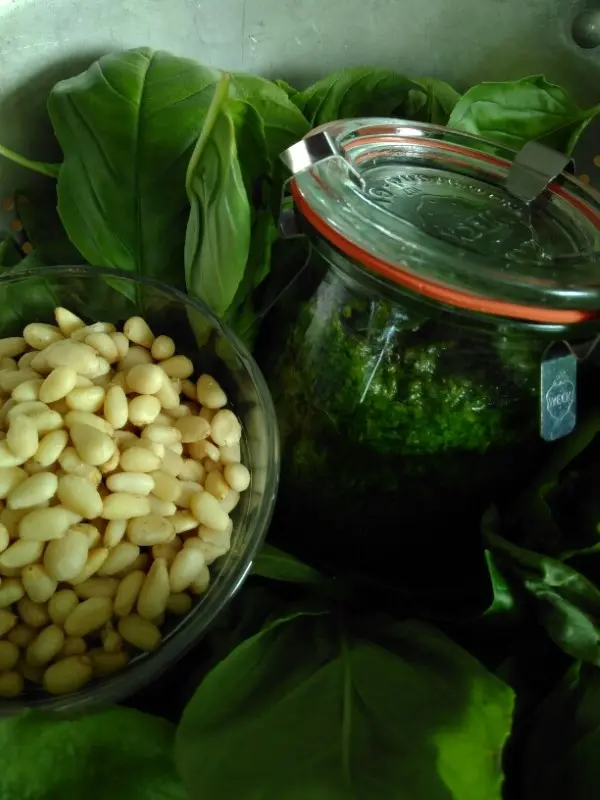 Photo of pine nuts, basil and a jar filled with pesto, gebana.com