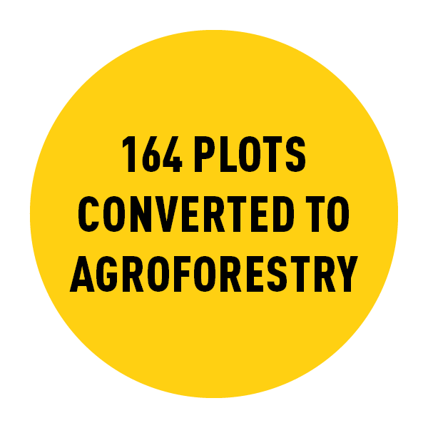 Yellow circle with black text inside reading 164 plots converted to agroforestry