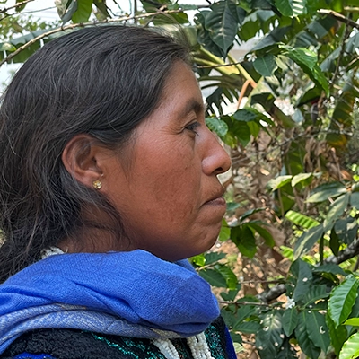 Foto einer mexikanischen Bäuerin im Seitenprofil, vor grünen Kaffeepflanzen - gebana.com