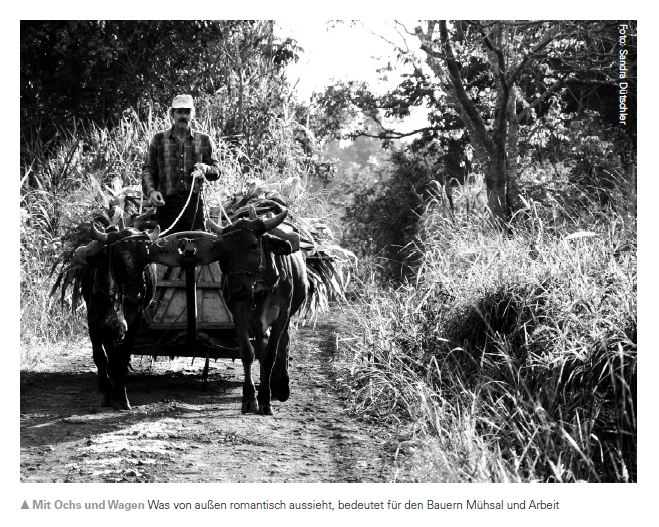 Gentechnik_in_Brasilien