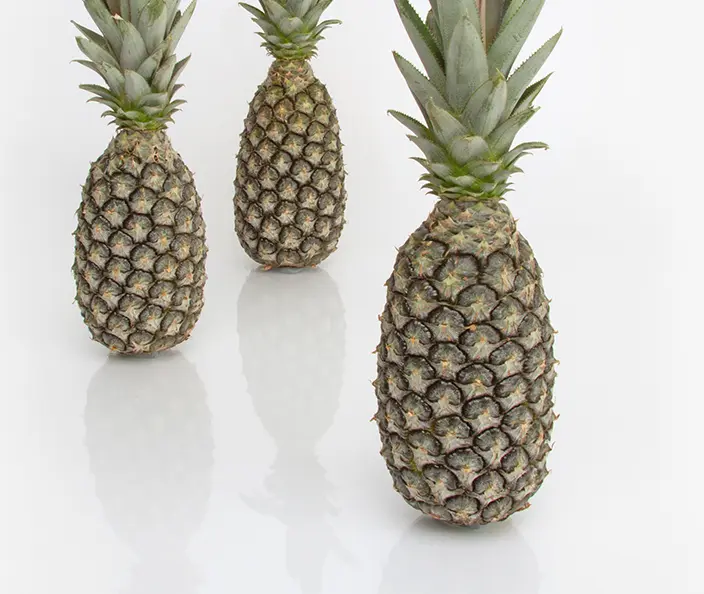 Fruits - Ananas- gebana