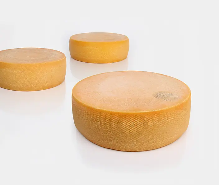 Fromage - Fromage à pâte dure - gebana