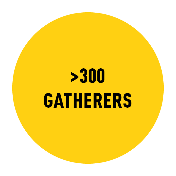 Yellow circle with black text inside reading >300 gatherers