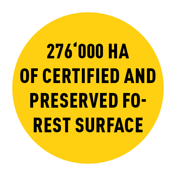 Yellow circle with black text inside reading 276000 HA of certified and preserved forest surface