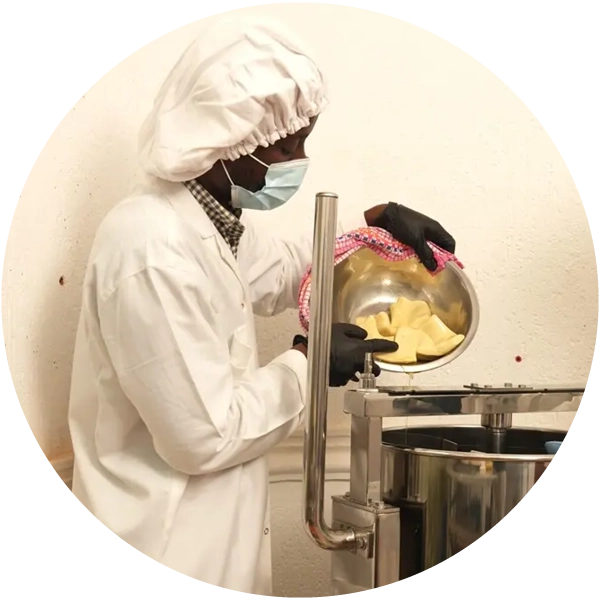 Round image of a woman wearing protective clothing, a mask, and a cap, putting butter into a machine.