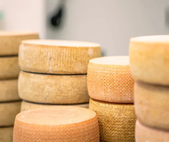 Käse - Bergkäse - Sufers - gebana