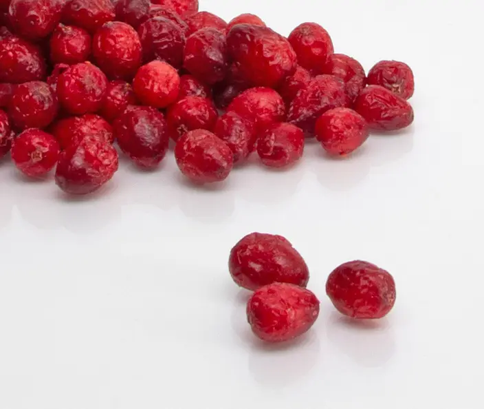 Trockenfrüchte - Cranberries  getrocknet - gebana