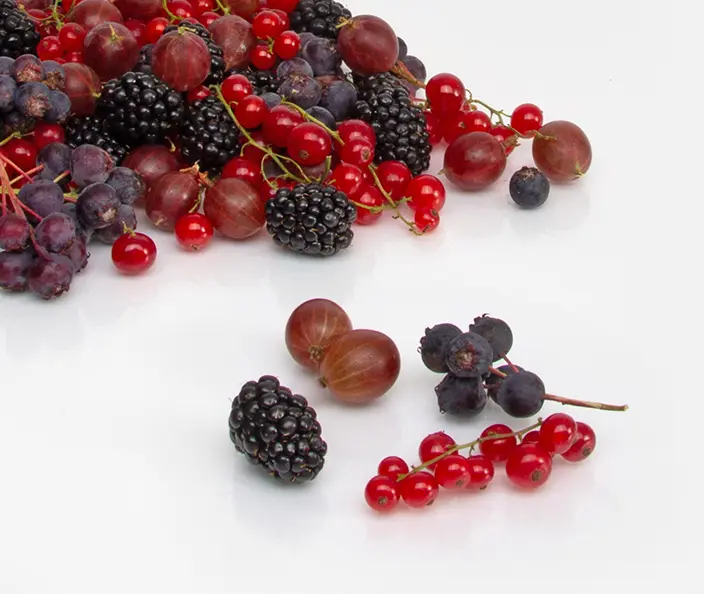 Beeren Wildbeeren Brombeeren Johannisbeeren Stachelbeeren Felsenbirnen - gebana