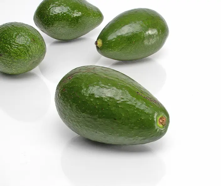 Avocados Fuerte