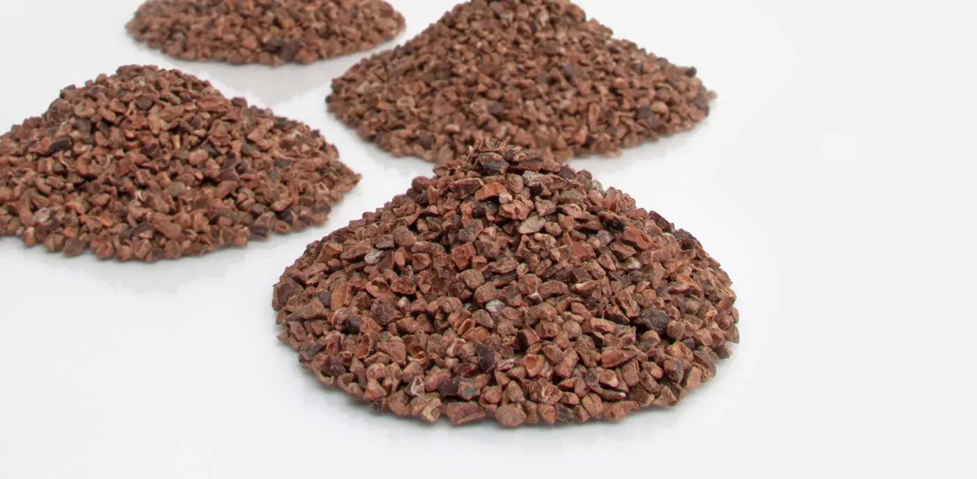 Four piles of cocoa nibs on a white background
