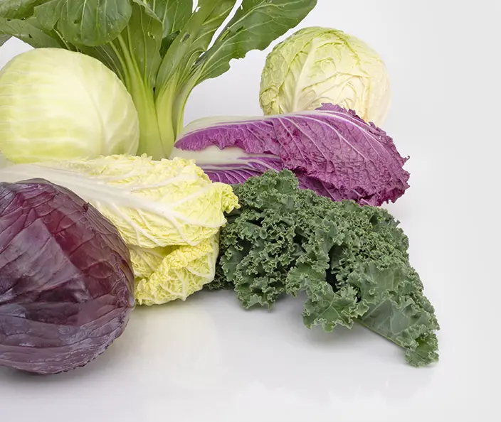 Légumes - Chou blanc - Chou rouge - Chou frisé - Chou chinois - Chou kale - Pak choï- gebana