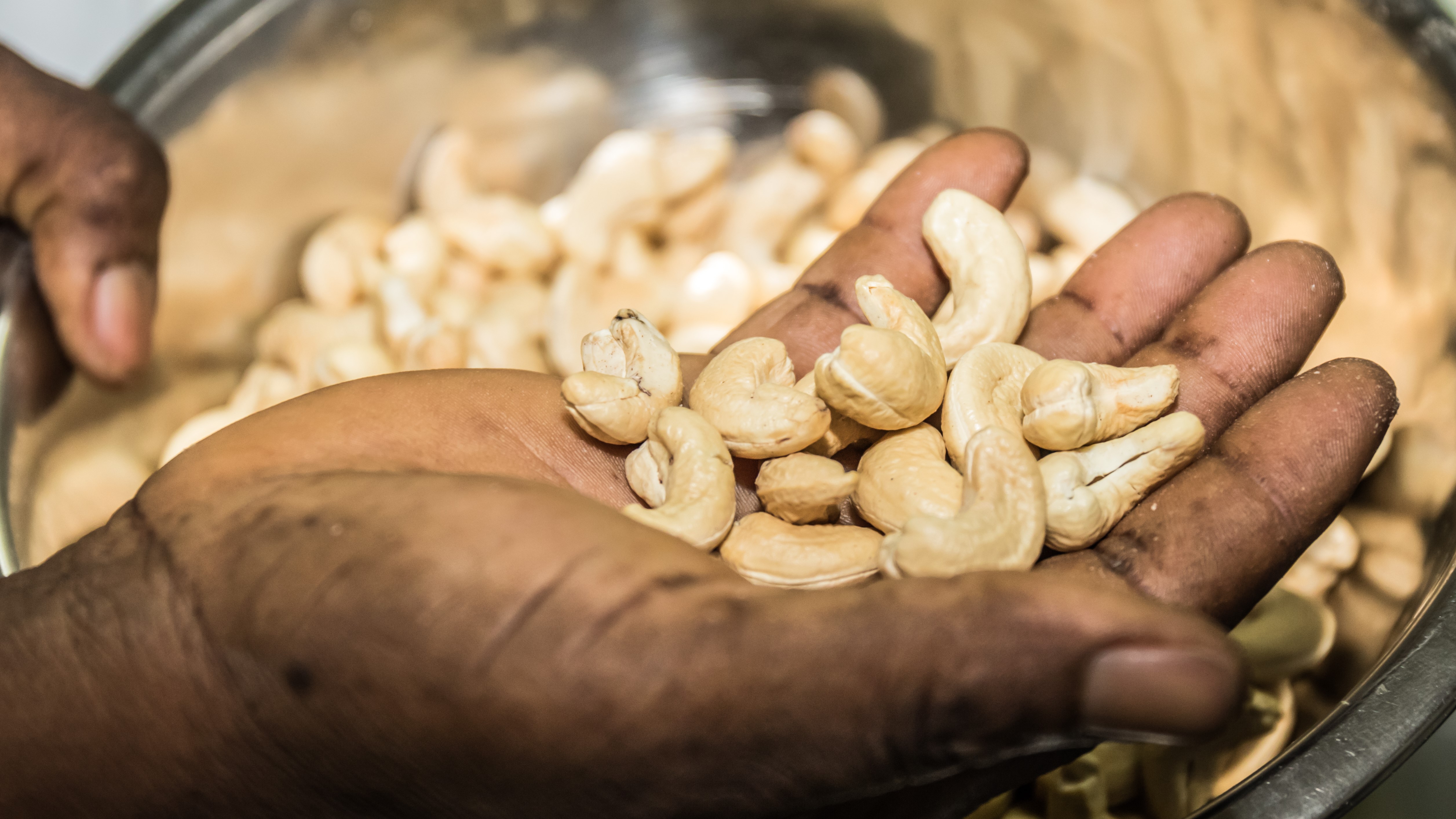 Cashews_in_hand_2_Burkina_Faso