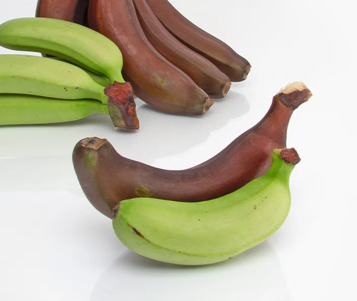 Südfrüchte Bananen - Mix mit Babybananen und roten Bananen - gebana