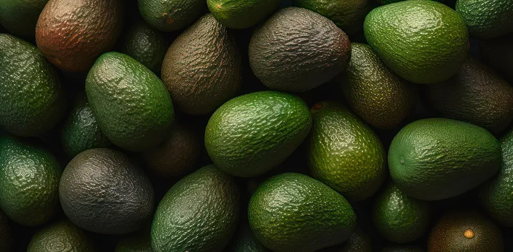 Avocados mit unterschiedlicher Reife mit Farben von grün bis braun - gebana.com