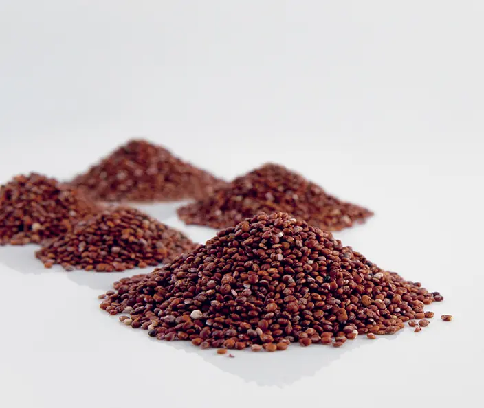 Getreide - Rote Quinoa - gebana