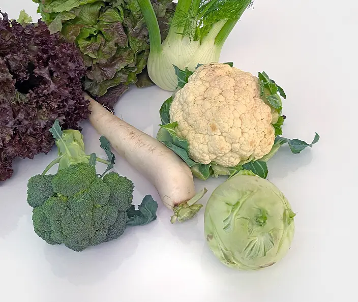 Gemüse - Salate - Sommergemüse "Überfluss" - gebana
