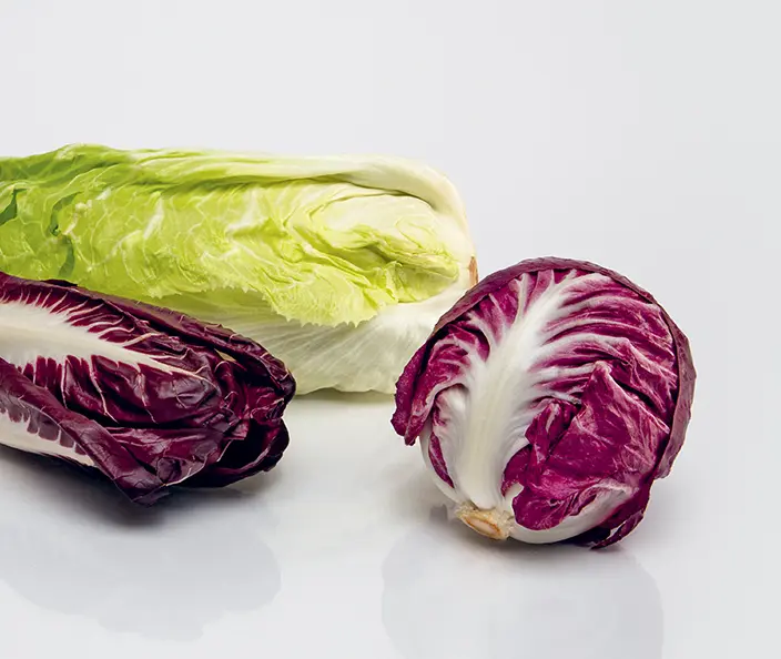 Gemüse - Wintersalat Paket mit verschiedenen Zichoriensalaten - gebana
