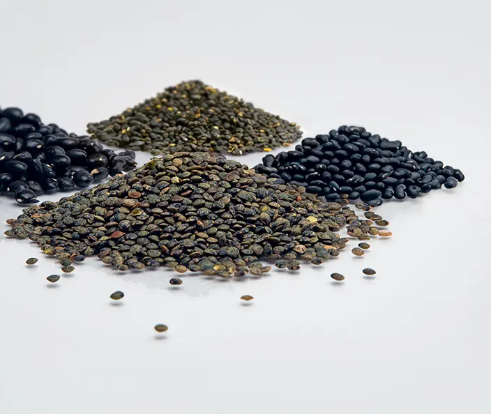 Légumes secs - Paquet de légumes secs - gebana