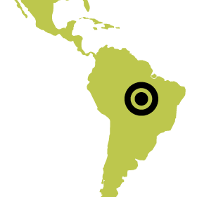 Green map with dot over brazil