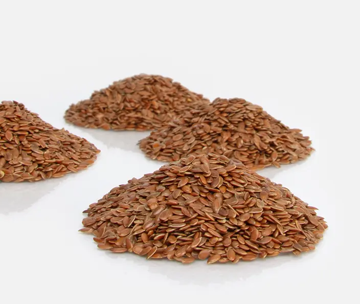 Hülsenfrüchte - Leinsamen - gebana