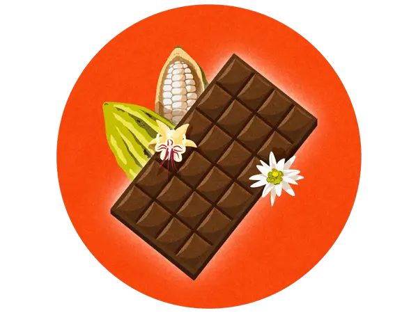 stilisierte Schokoladentafel, Kakaopods und -blüten auf rotem Hintergrund - gebana.com