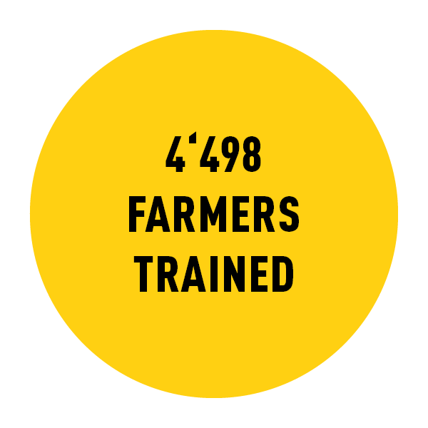 Yellow circle with black text inside reading 4498 farmers trained