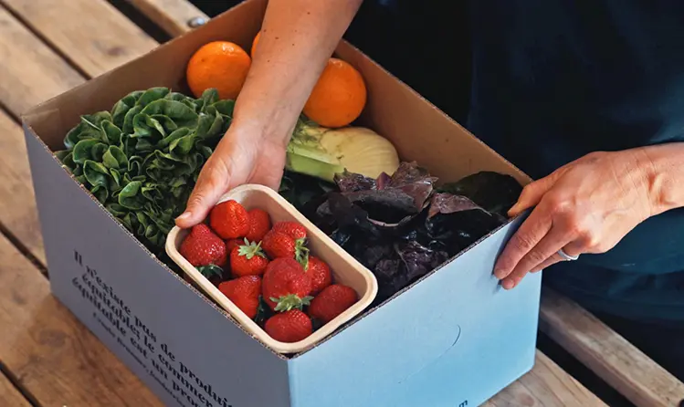 Boîte en carton bleu clair remplie de légumes, d'oranges et de fraises, une main tient la boîte, une autre plonge dans la boîte - gebana.com