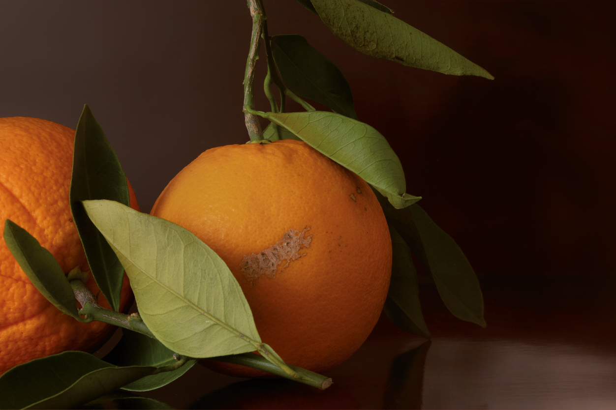 NL_Heroes_CTA_Sticker_Orange_real