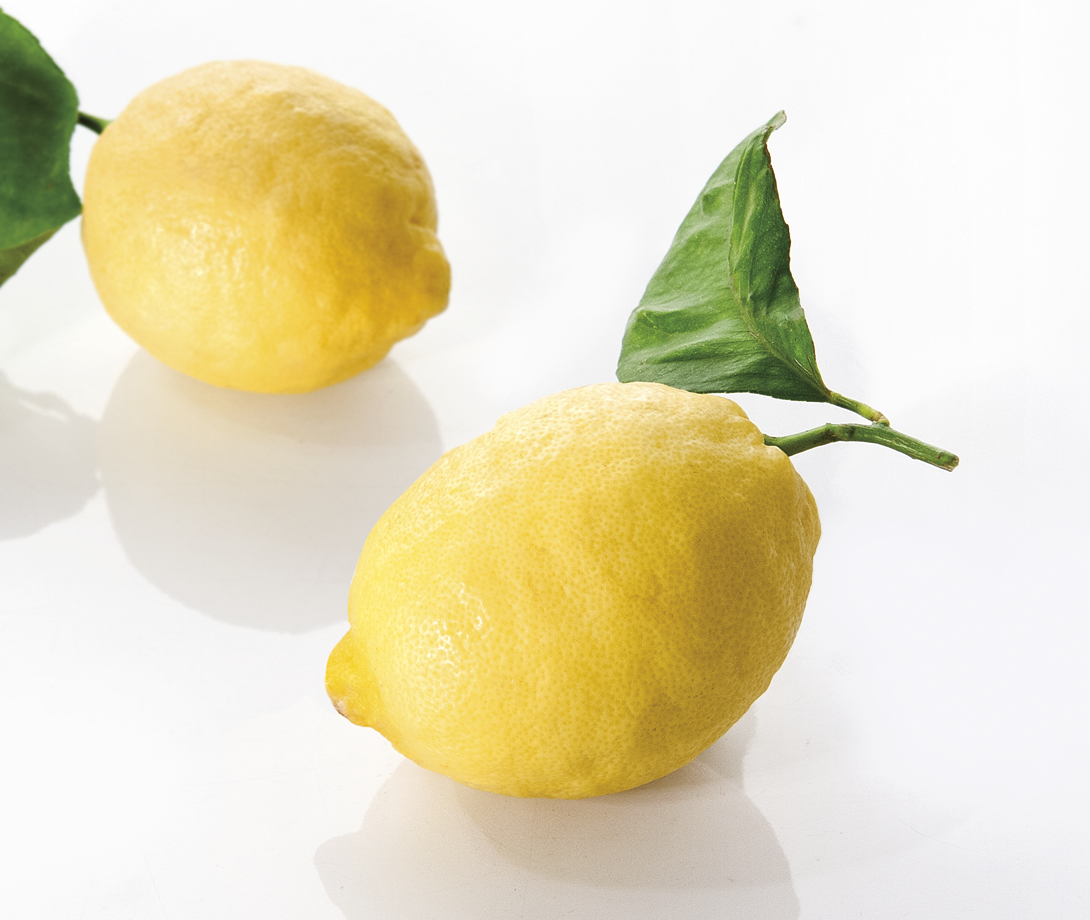Bio Zitronen online kaufen | gebana