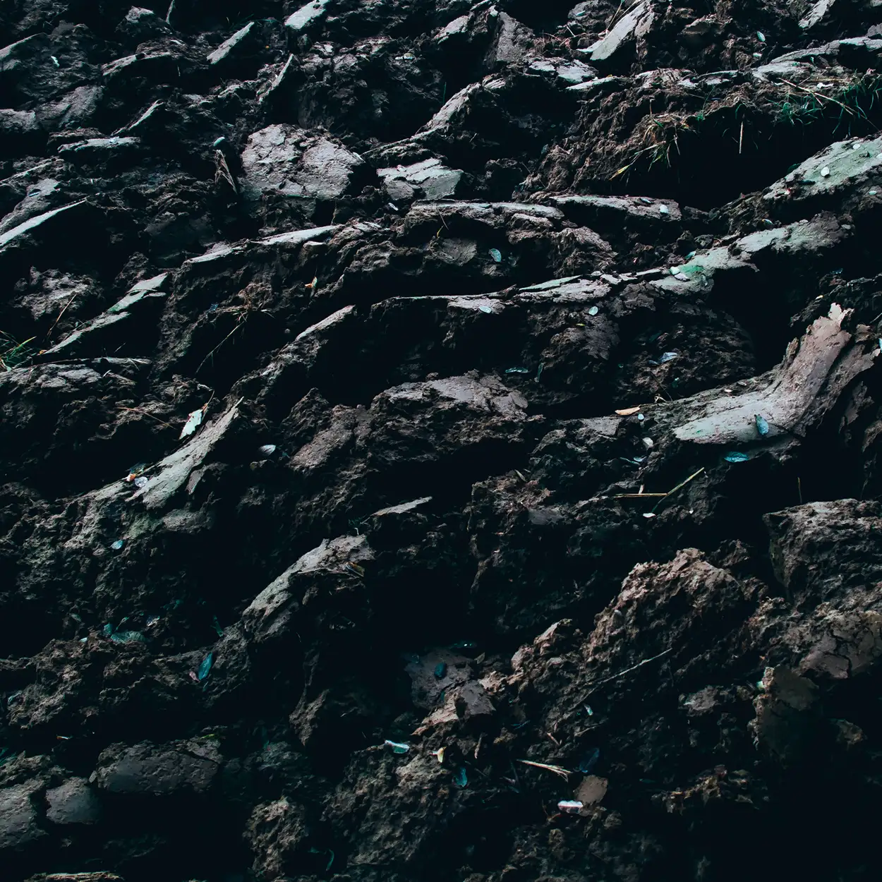 blog_teaser