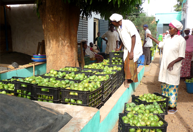 P1150053_cut_650x440