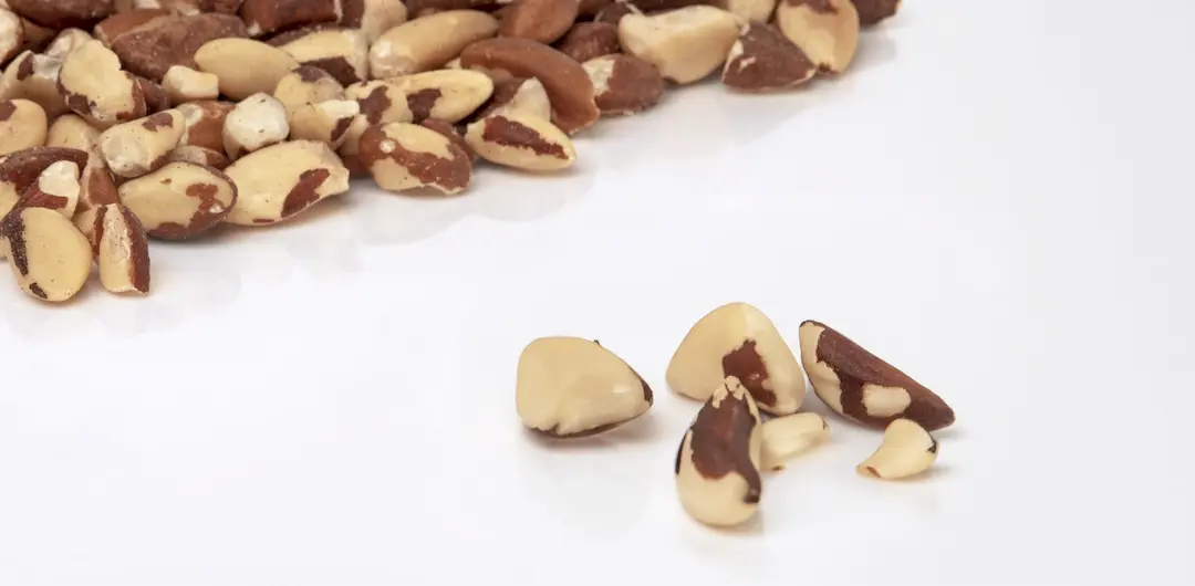 A pile of Brazil nuts in pieces on a white background