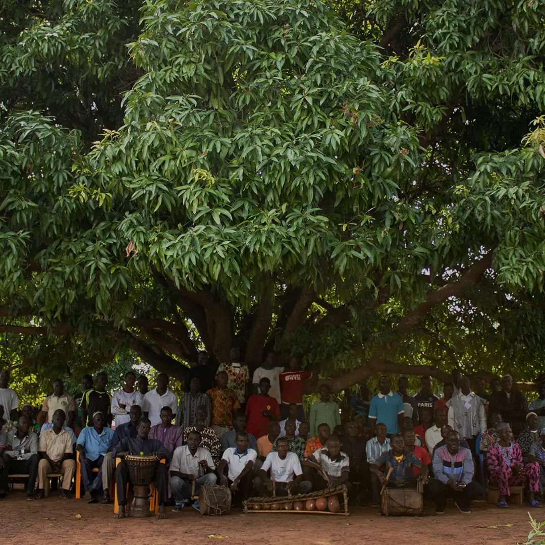 mangobaum_dorfzentrum_square_zi47hLy