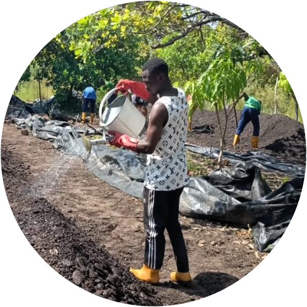 Round image of a field with farmers on it watering and plowing