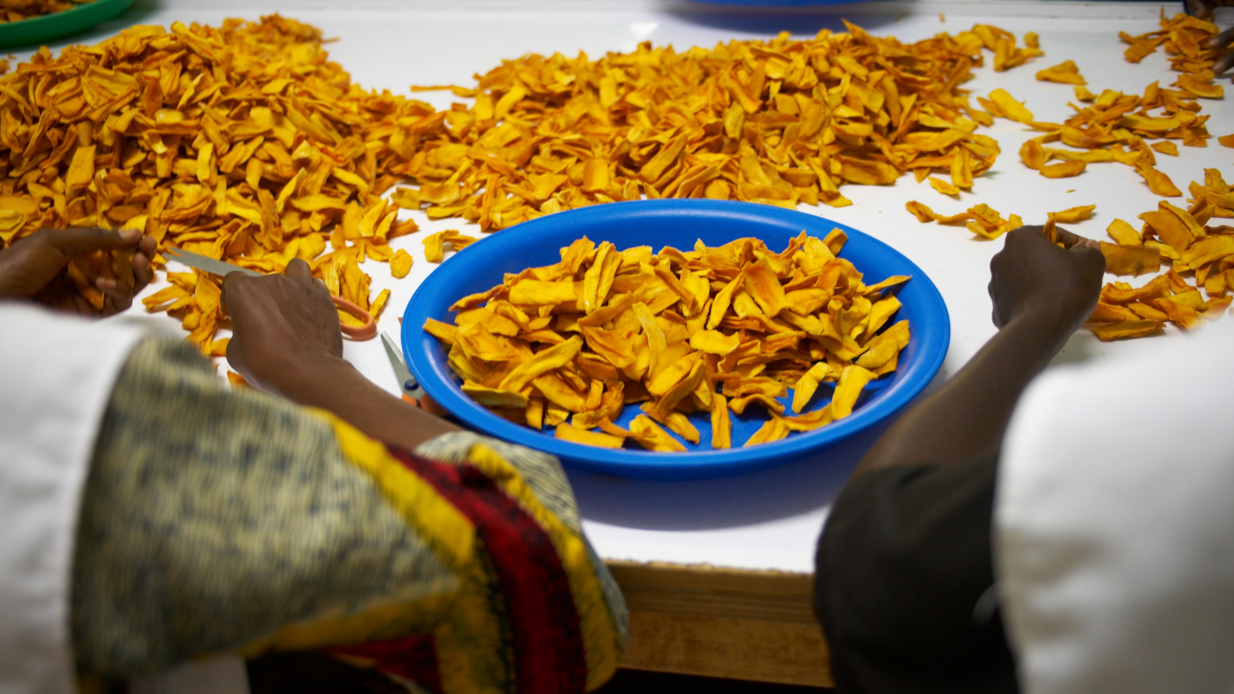 Mango_Processing_5_Burkina_Faso