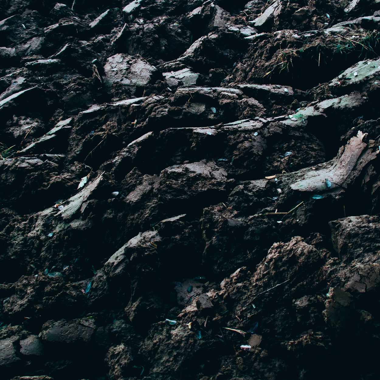 blog_teaser