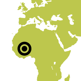 Green map with dot over Burkina Faso