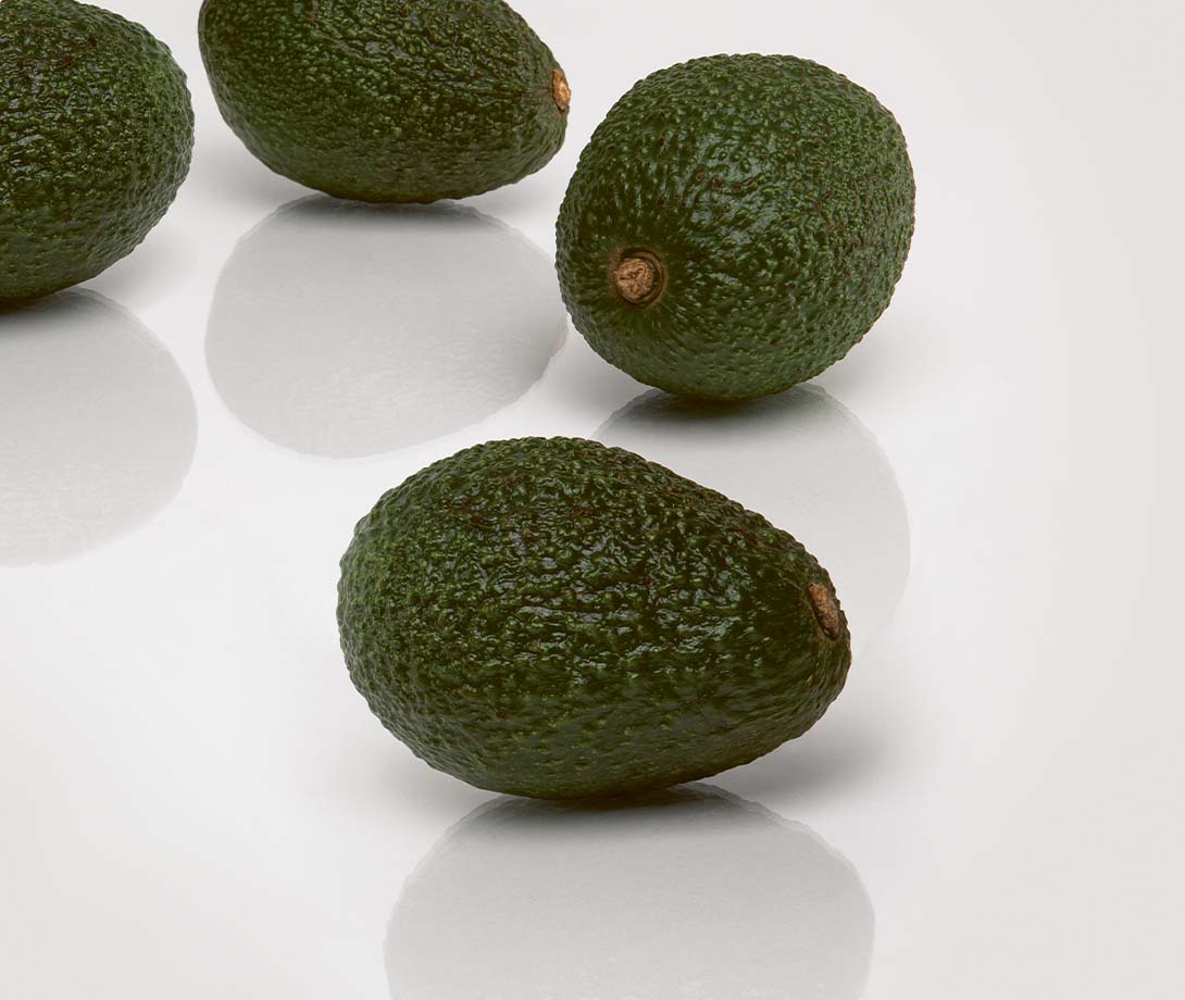 Frische Bio Avocados direkt ab Hof, 3.8 kg