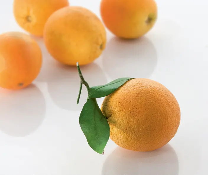 Fruits - Agrumes - Oranges - gebana