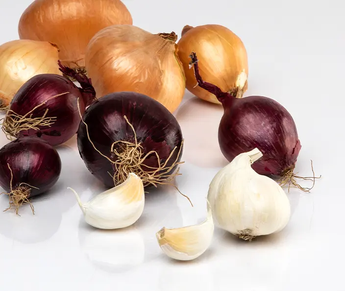 Gemuese - Zwiebeln und Knoblauch - gebana